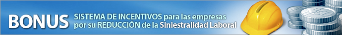 BONUS Sistema de incentivos