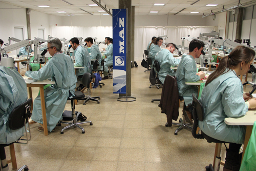 Curso de Microcirugía y Cirugía de la Mano