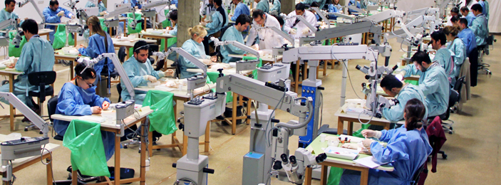 Curso intensivo MAZ de Microcirugía Vasculonerviosa y Aplicaciones Clínicas